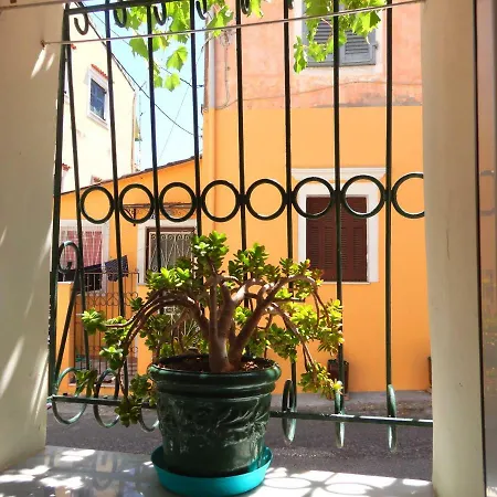 Sailor's Small Apartment